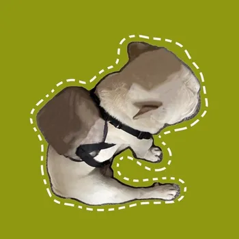 Novo Estilo Ajustável Cão de Estimação do Couro do PLUTÔNIO Mochila Chicote Saco Para Pequenas e Médias Cães Schnauzer Bulldog francês Pug Corgi ZLB08